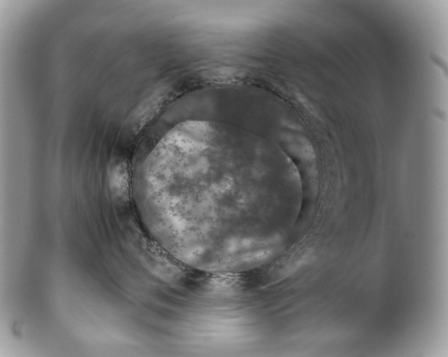 X0000099510720200806051147