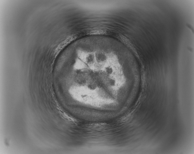 X0000099510721200806051146