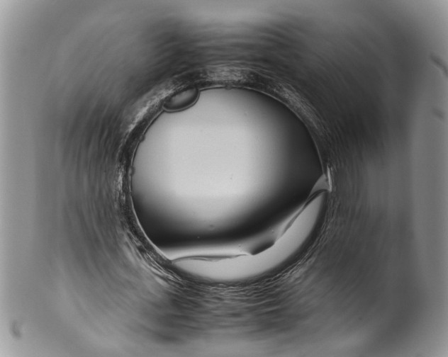 X0000099510723200806051146