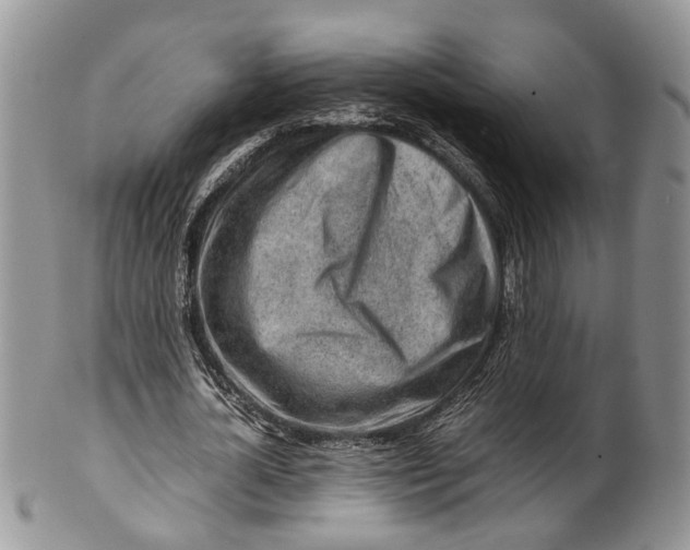 X0000099510724200806051146