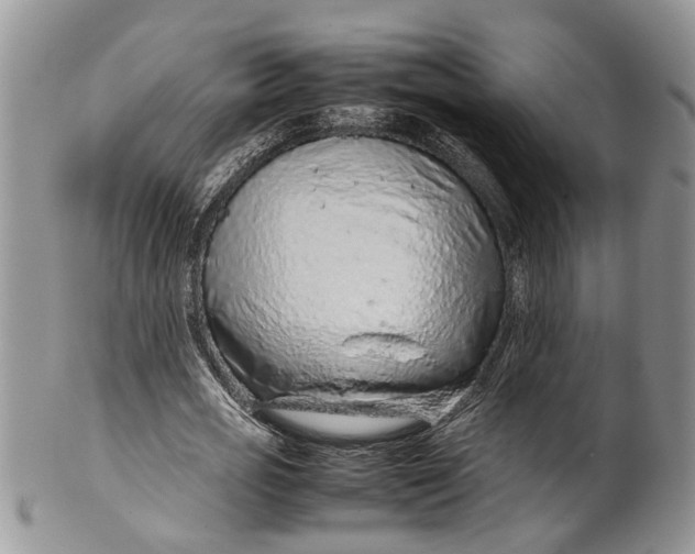 X0000099510725200806051146