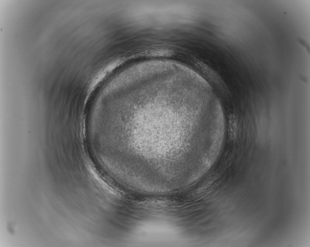 X0000099510726200806051146