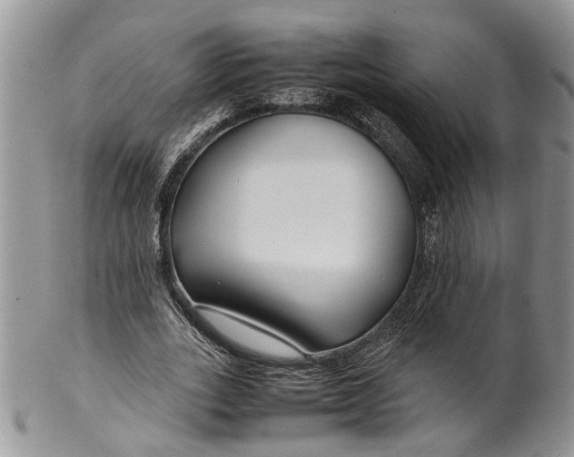 X0000099510727200806051146