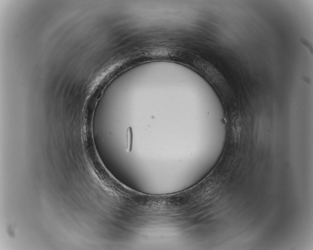 X0000099510728200806051146