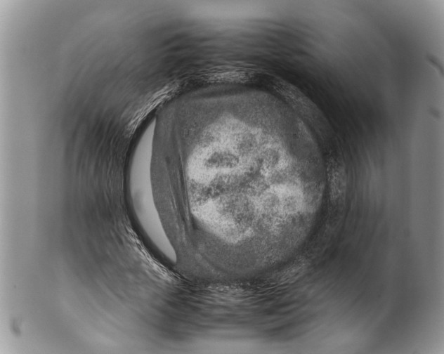 X0000099510729200806051146