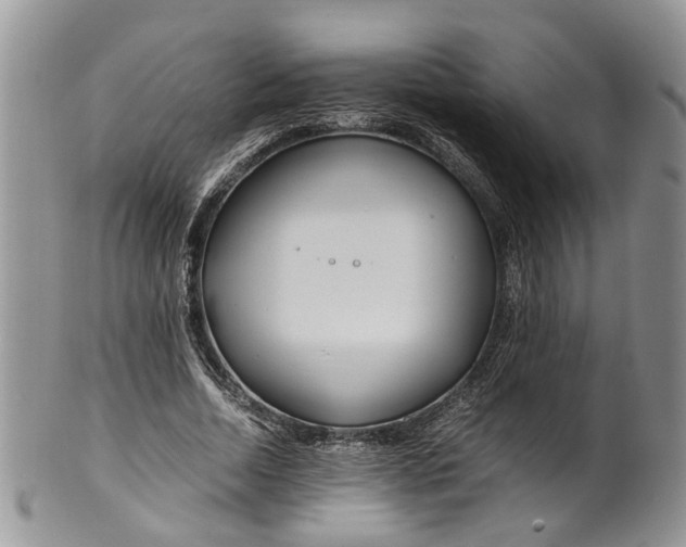 X0000099510730200806051146