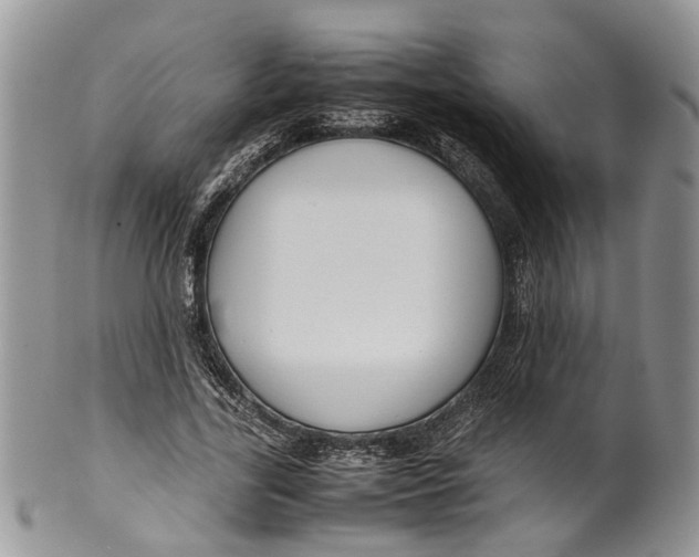 X0000099510731200806051146