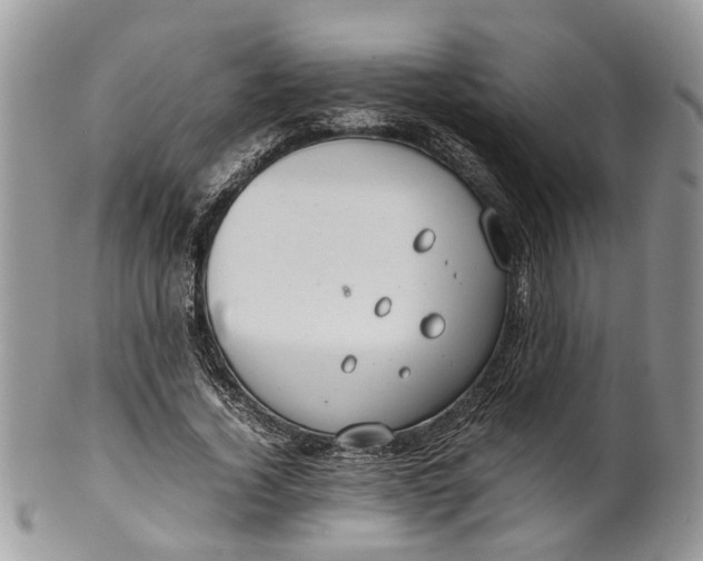 X0000099510732200806051146