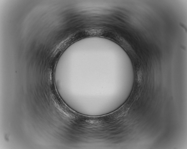 X0000099510733200806051146