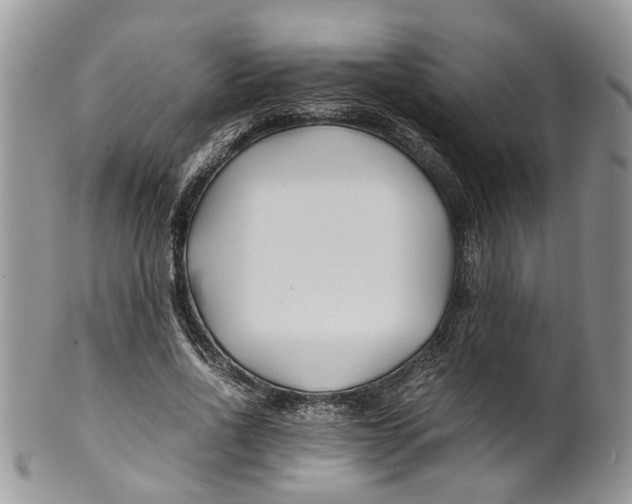 X0000099510734200806051146