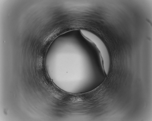 X0000099510735200806051146