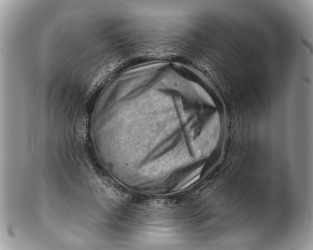 X0000099510736200806051146