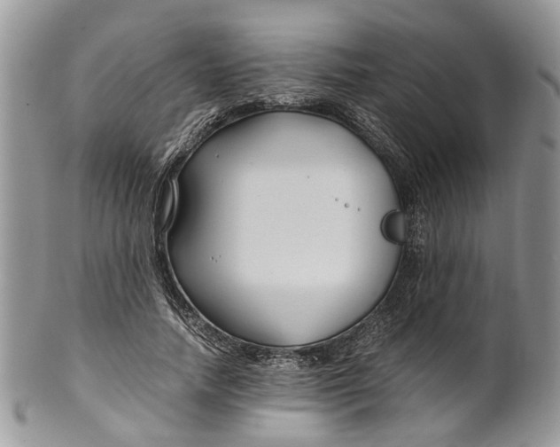 X0000099510738200806051146