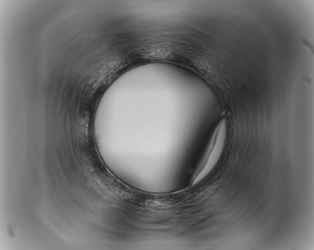 X0000099510739200806051146