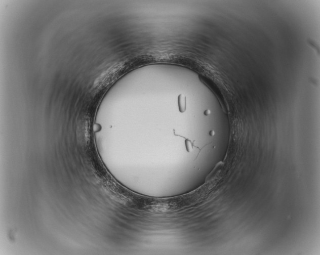 X0000099510740200806051146