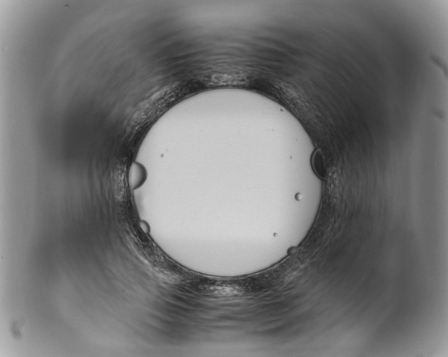 X0000099510741200806051146