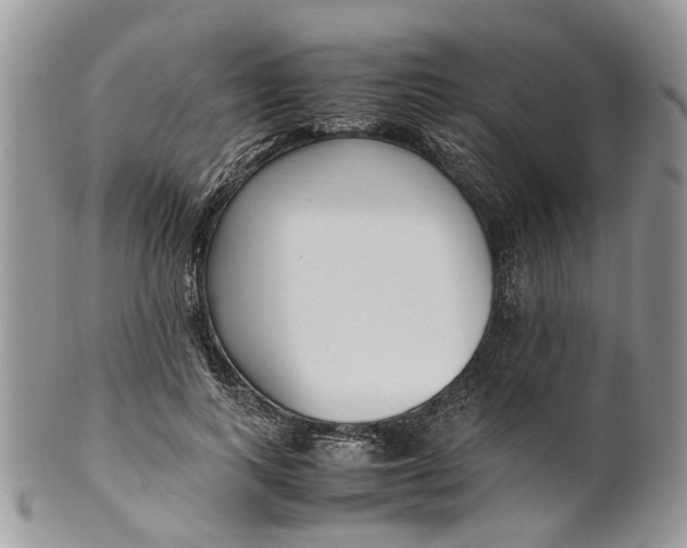 X0000099510743200806051146