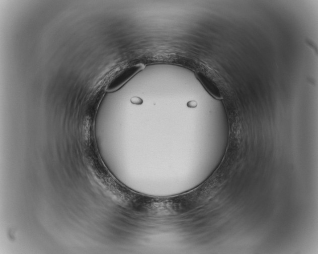 X0000099510744200806051146