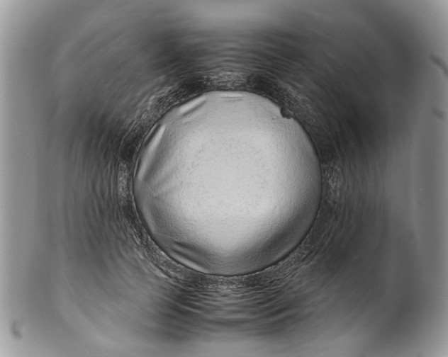 X0000099510745200806051146