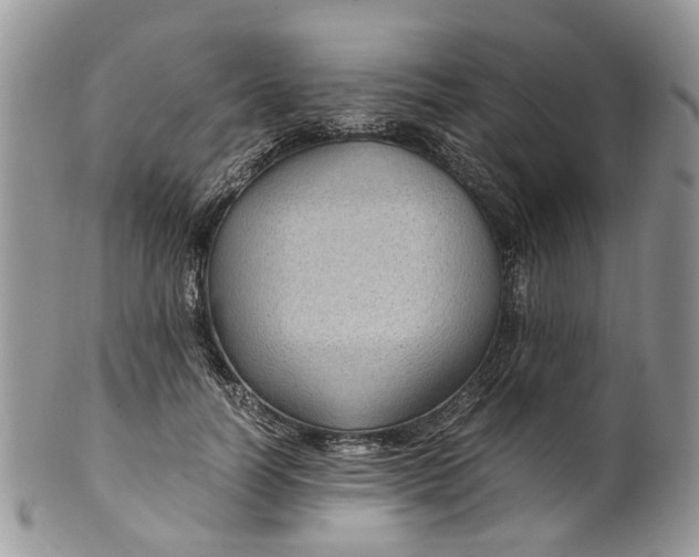 X0000099510746200806051146