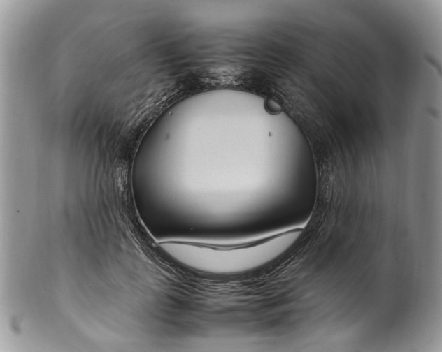 X0000099510747200806051146