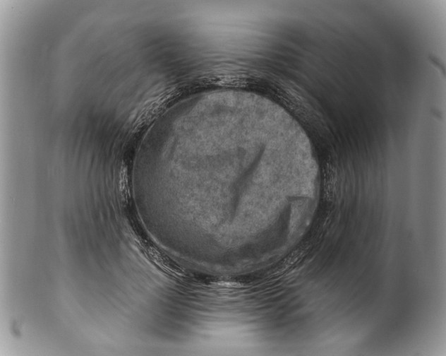 X0000099510748200806051146