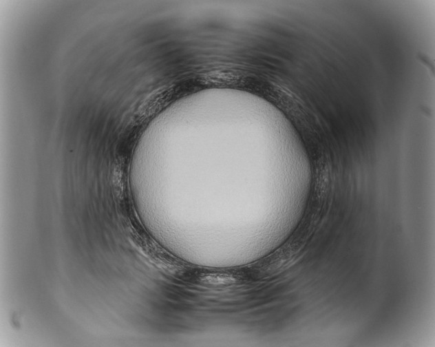 X0000099510749200806051146