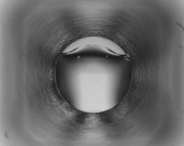 X0000099510750200806051146