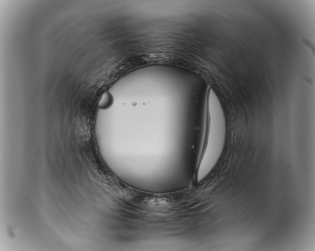 X0000099510751200806051147