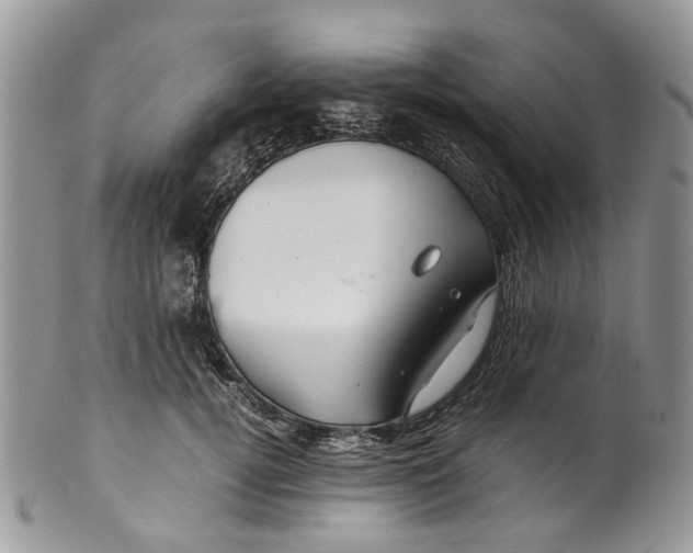 X0000099510752200806051147