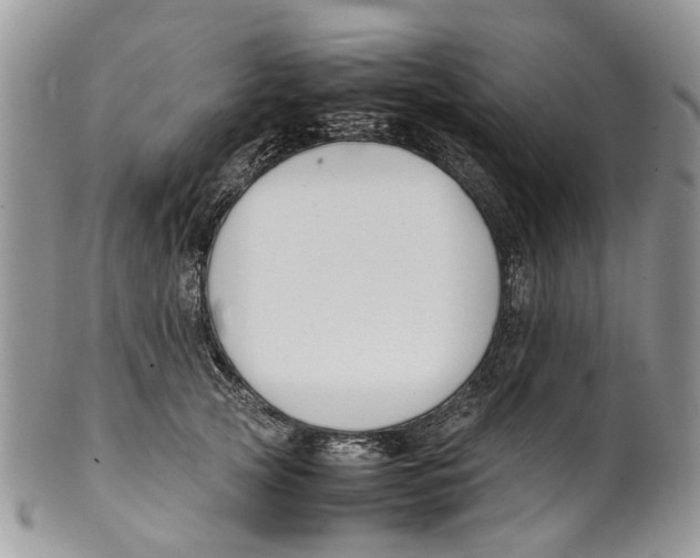 X0000099510753200806051147