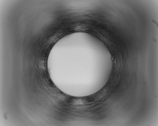 X0000099510755200806051147