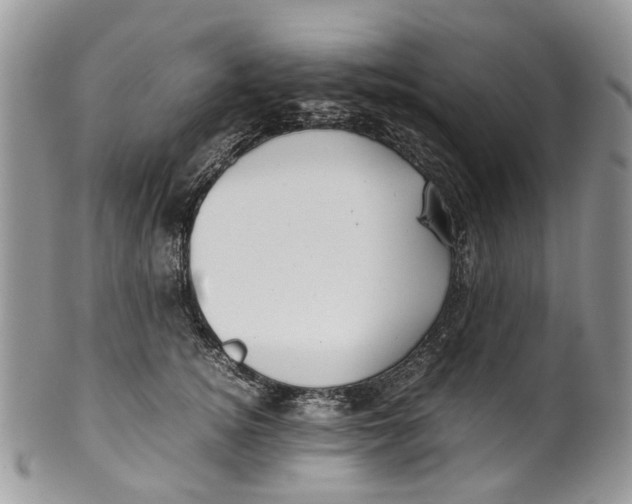 X0000099510756200806051147