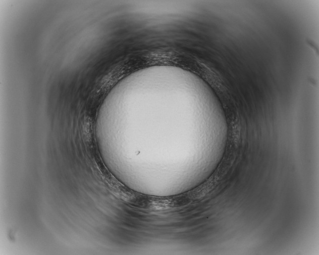 X0000099510757200806051147