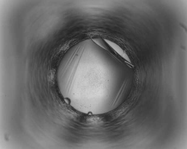 X0000099510759200806051147