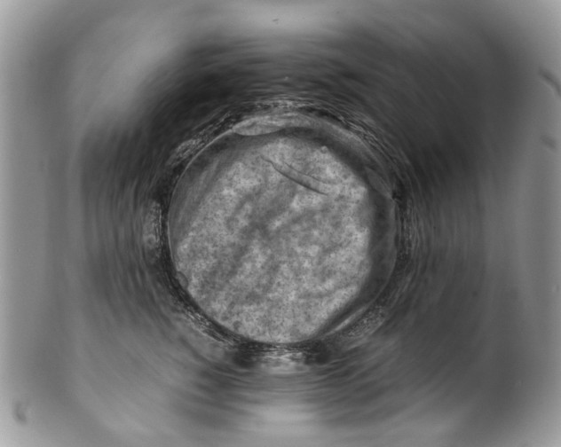 X0000099510760200806051147