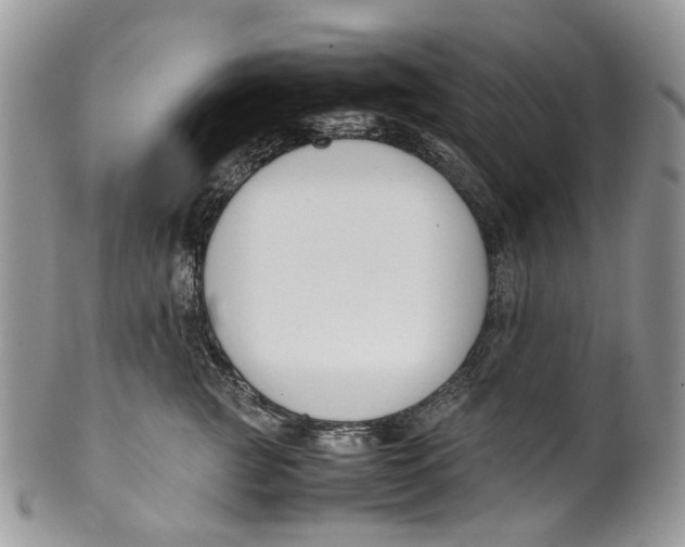 X0000099510761200806051147