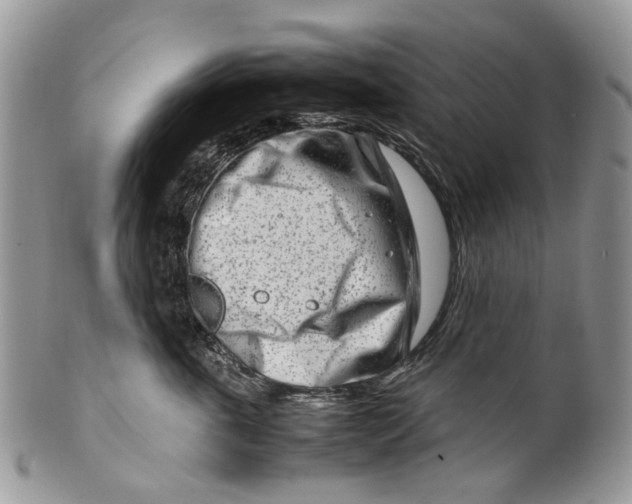 X0000099510763200806051147