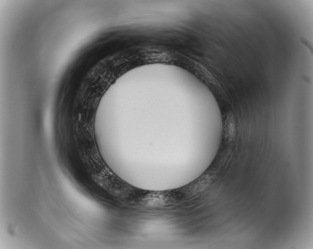 X0000099510764200806051147