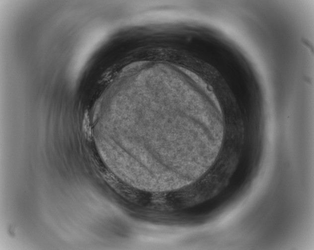 X0000099510766200806051147