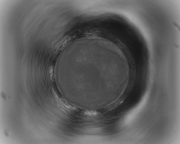 X0000099510767200806051147