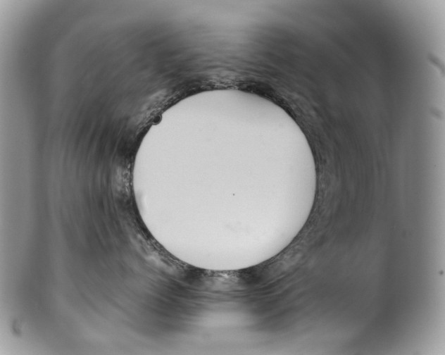 X0000099510768200806051147