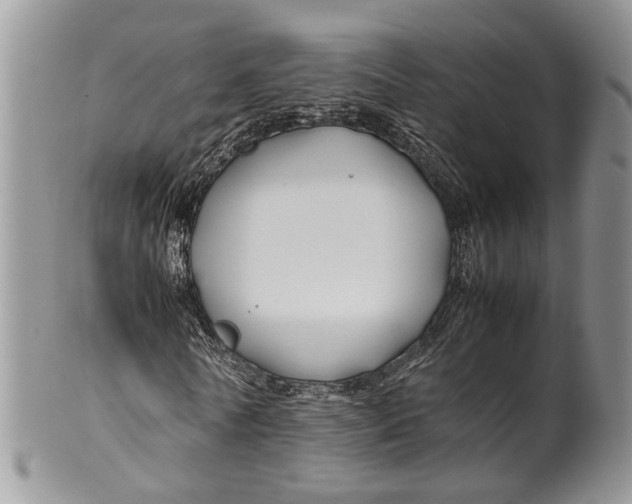 X0000099510770200806051146