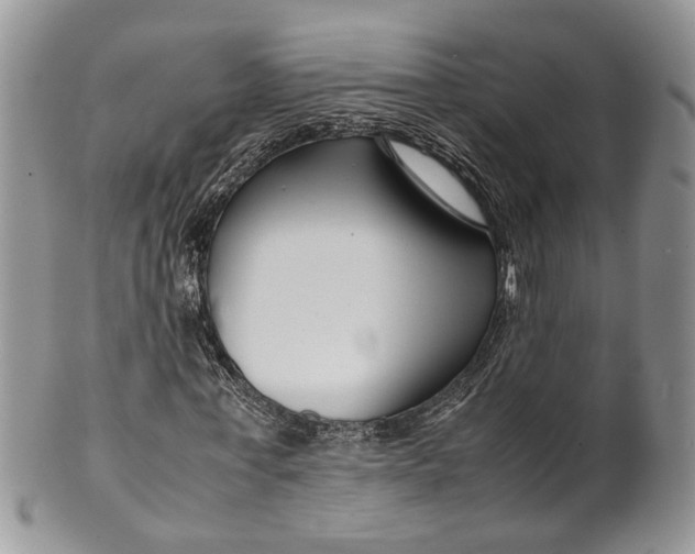 X0000099510771200806051146