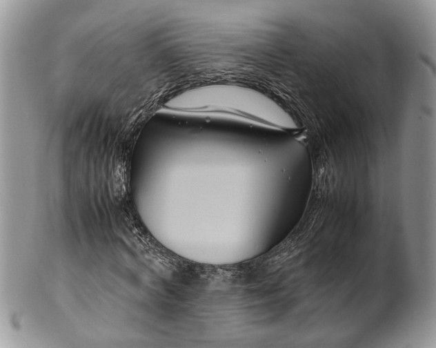 X0000099510772200806051146