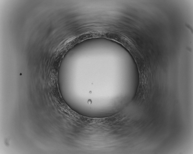 X0000099510773200806051146