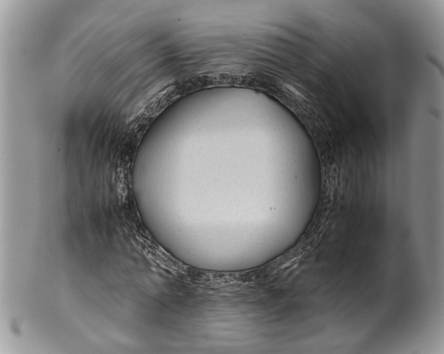 X0000099510774200806051146