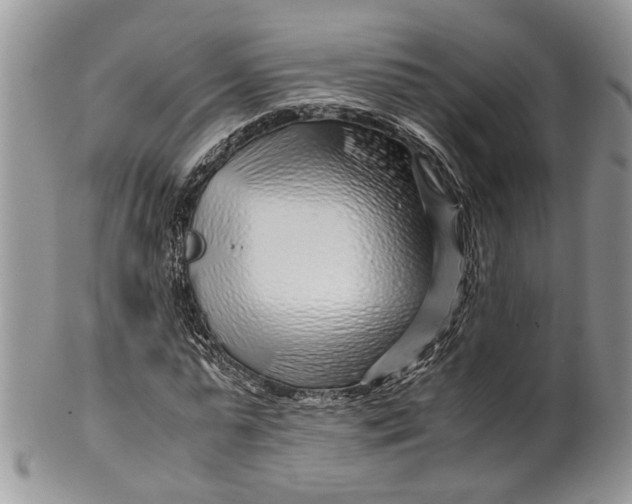 X0000099510775200806051146