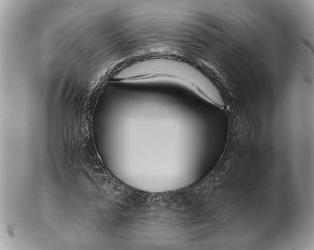 X0000099510776200806051146