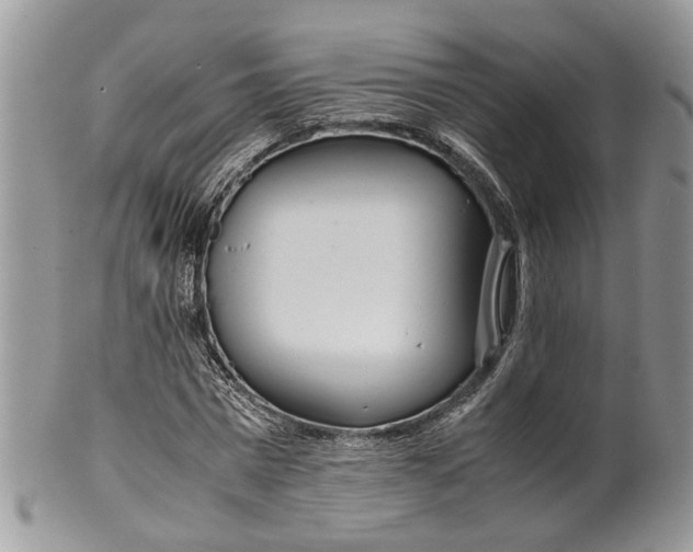 X0000099510777200806051146